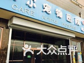 保定宠物店爆料视频大全,揭露行业黑幕与温馨瞬间  第1张