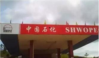 济宁加油站爆料视频曝光  第1张